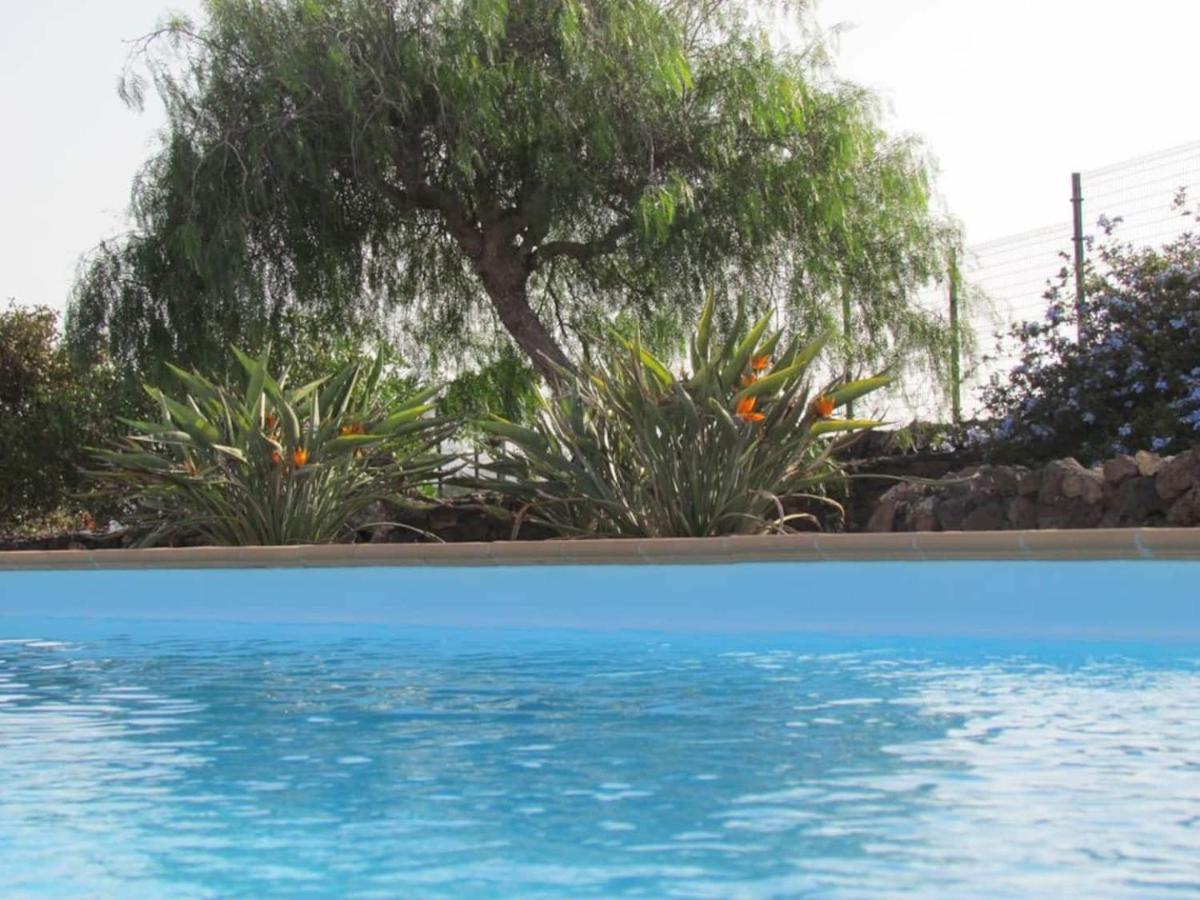 Wind Wave 28B - Heated & Shared Pool Villa La Oliva Bagian luar foto